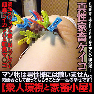 【フル動画】ケイコ 8｜sacz094